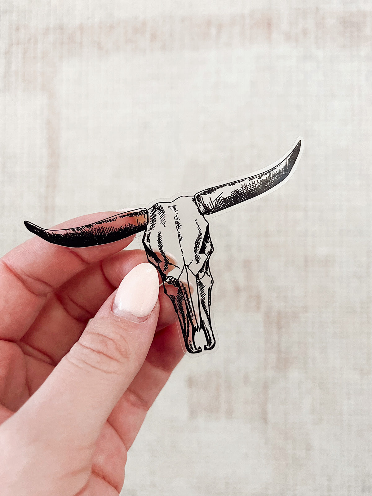 Longhorn Skull Vinyl Sticker