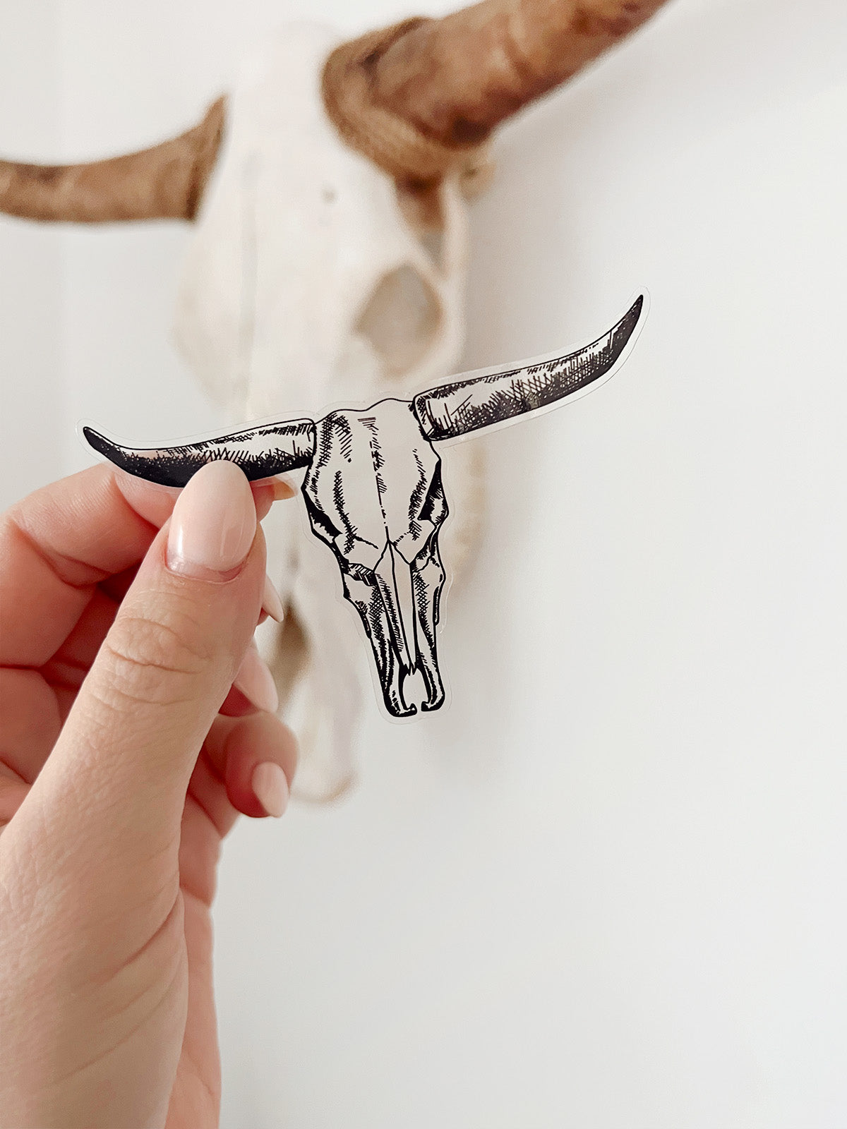 Longhorn Skull Vinyl Sticker